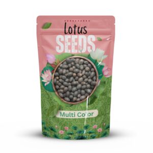 Lotus Seeds for Planting, Home Garden, Balconey - 50 Pcs