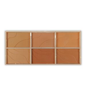 6-Color Blusher Combo Palette | Conceal, Correct & Contour Face Kit | Lightweight & Blendable Palette for Flawless Makeup Base | Compact & Travel-Friendly